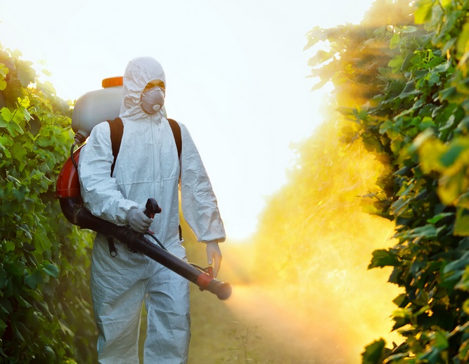 Parlamento Europeu rejeitou o Regulamento do Uso Sustentável de Produtos Fitofarmacêuticos